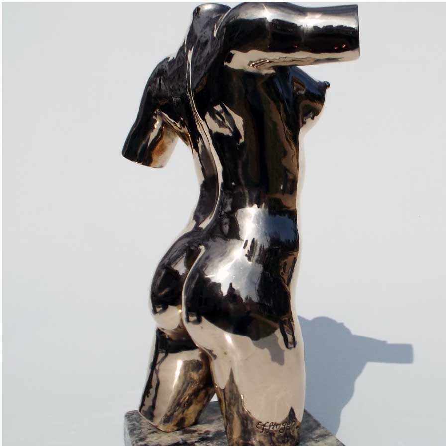 Torso